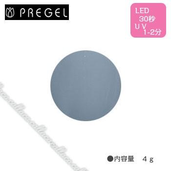 PREGEL プリジェル カラーEx グレイッシュミスト PG-CE306 4g | 