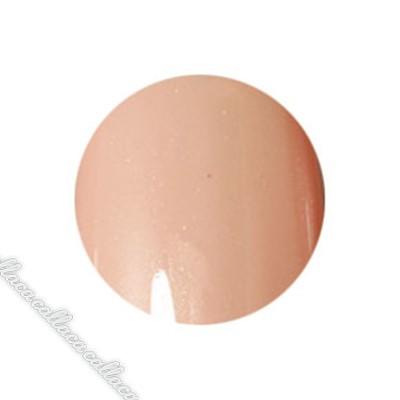 PREGEL プリジェル カラーEX ロータスアプリコット-P PG-CE554  4g | 