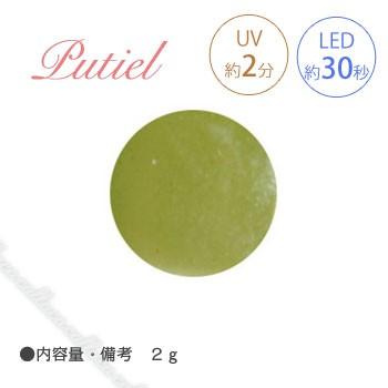 Putiel プティール カラージェル 506 リーフ 2g : ネイルショップ