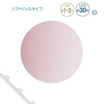 PREGRL プリジェル カラーEX チュールオーキッド PG-CE855 3g | 