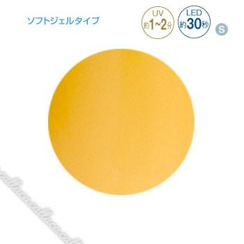 PREGRL プリジェル カラーEX チュールメープル PG-CE856 3g | 