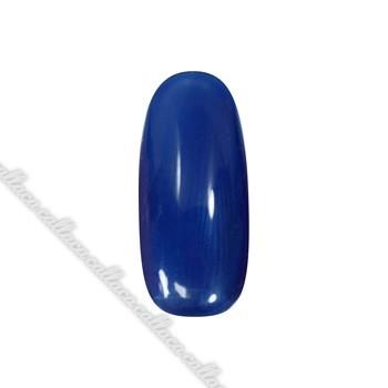 para gel パラジェル カラージェル P005 ネイビーブルー : ネイル