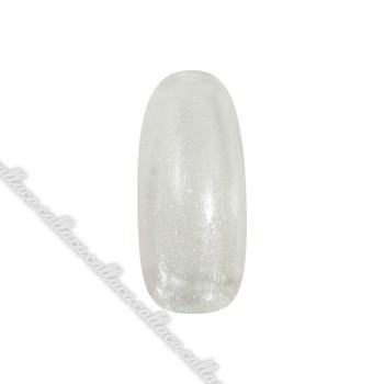 para gel パラジェル カラージェル G002 クリアスパークル : ネイル