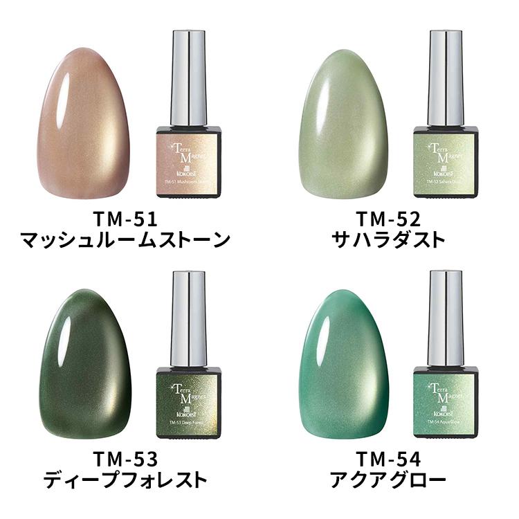 KOKOIST ココイスト テラマグネット Terra Magnet 10g 全12色 TM-47