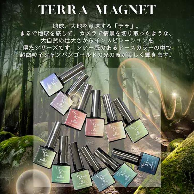 KOKOIST ココイスト テラマグネット Terra Magnet 10g 全12色 TM-47