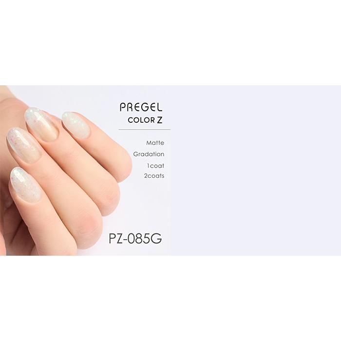 pregel プリジェル カラージェル カラーZ 3g PZ-077G〜PZ-085G