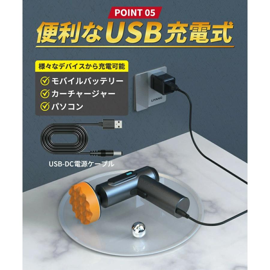 ポリッシャー 充電式ポリッシャー 電動ポリッシャー カーポリッシャー