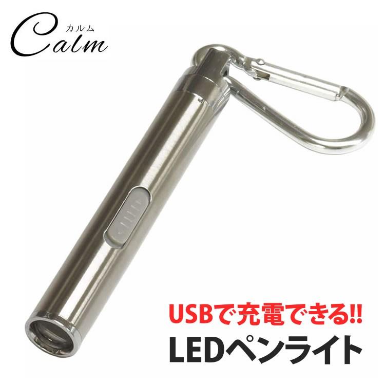 LEDペンライト USB充電式 人気TOP コンパクト LED 高輝度 期間限定キャンペーン 軽量 キーチェーン カラビナ アウトドア ステンレス キーホルダー