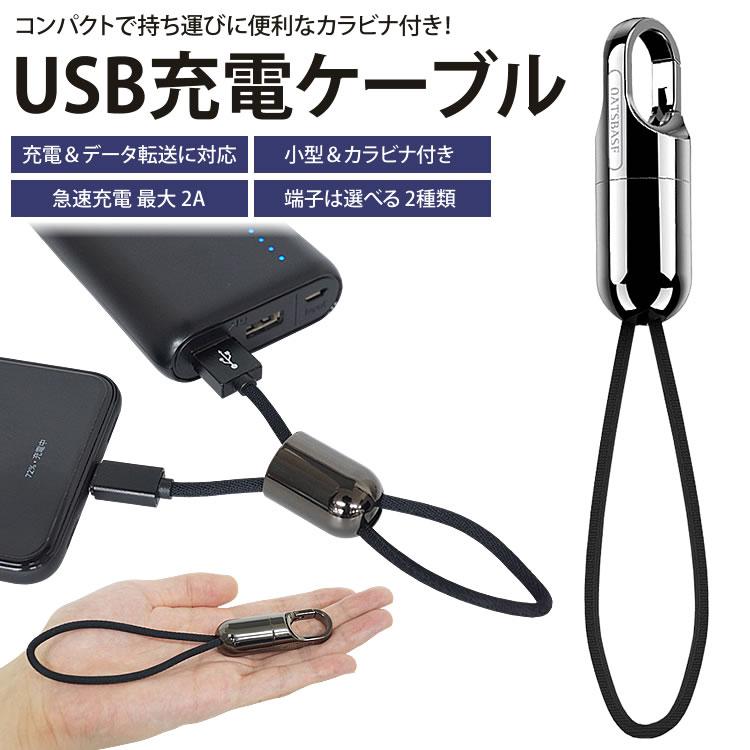 充電ケーブル Type-C Lightning キーホルダー カラビナ 持ち運び