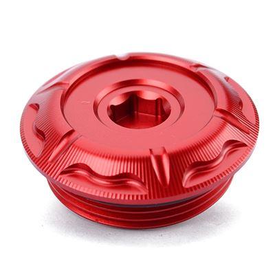 Cache HP Carbon support de plaque d'immatriculation - S 1000 XR