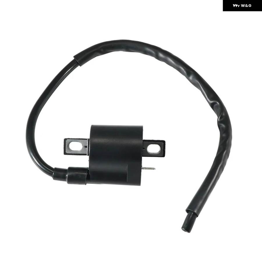 並行輸入品高電圧パック 点火 コイル スズキ LT-F160 LT160 LT-4WD QUADRUNNER LTF250 LTF250F LT-F300 33410-02C00 33410-02C01の画像