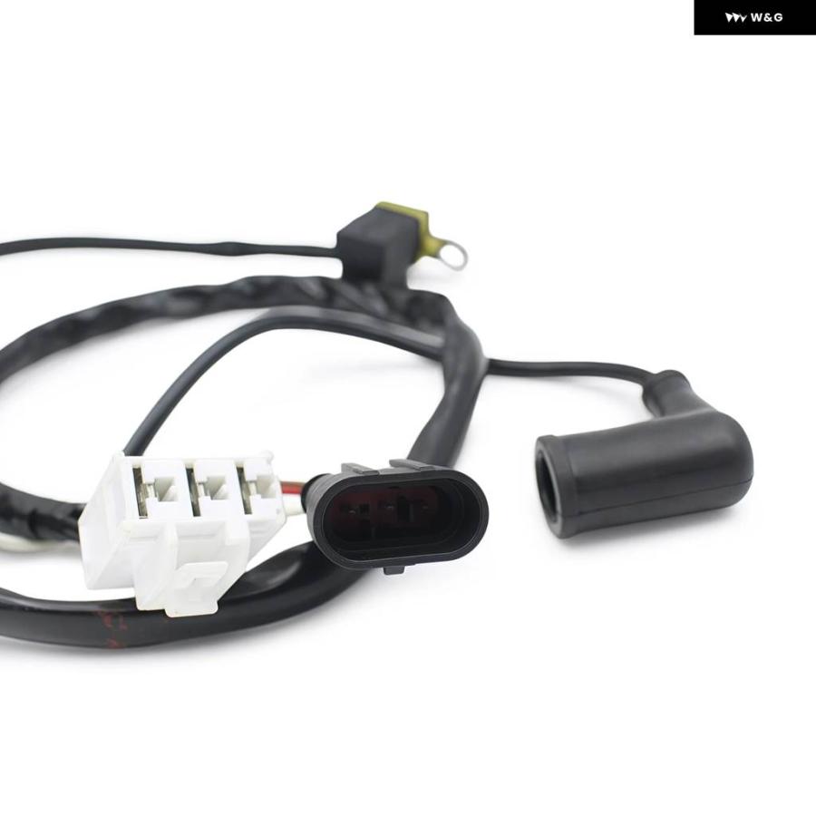 並行輸入品 マグネトオルタネーターステーターベスパ LX 150 4T 3V IE ZAPM68400の画像