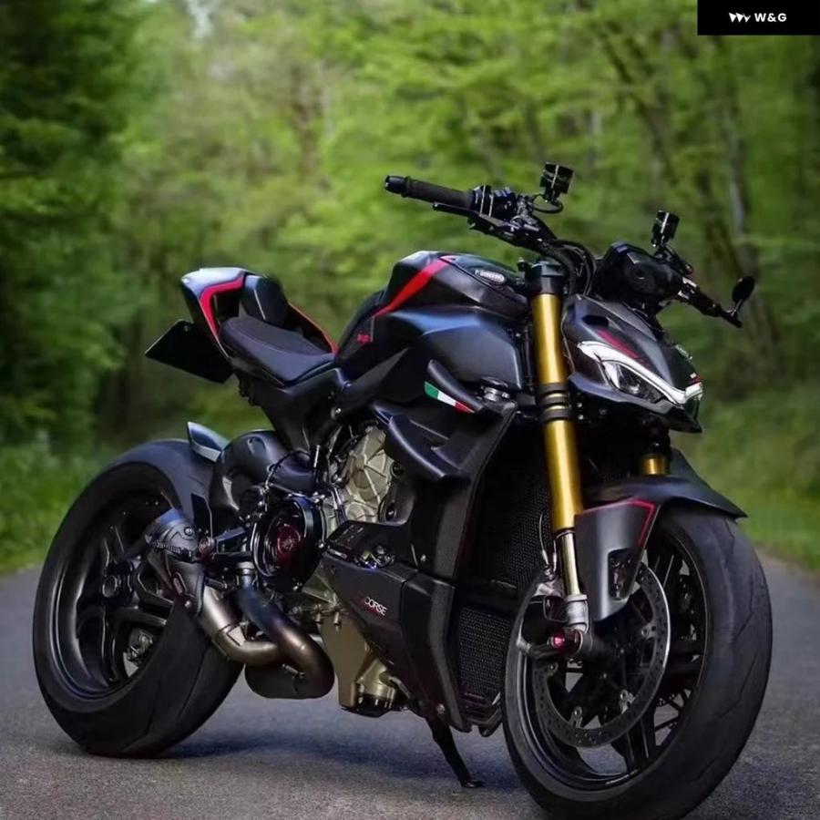 並行輸入品 ドゥカティ PANIGALE V4/S V4R V2 STREETFIGHTER V4/S V2 SUPERLEGGERA STREET FIGHTER シートカバー テール フェア_4