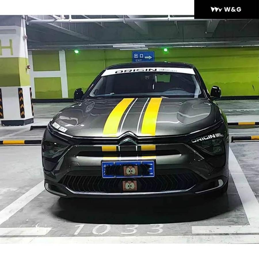 並行輸入品 車用 ステッカー シトロエン C5X ボディ 外装 カスタム