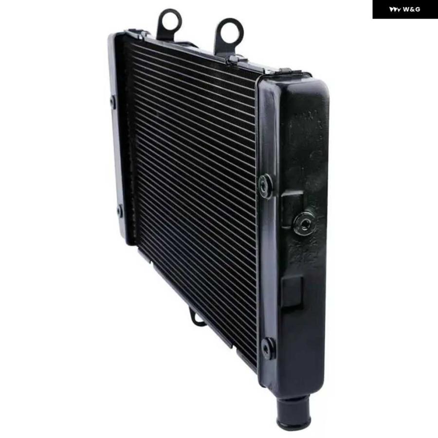 並行輸入品オートバイ バイク アルミ エンジン ラジエーター クーラー 冷却 ホンダ CB1000R 2008-2017 CBF1000 2011-2016_3