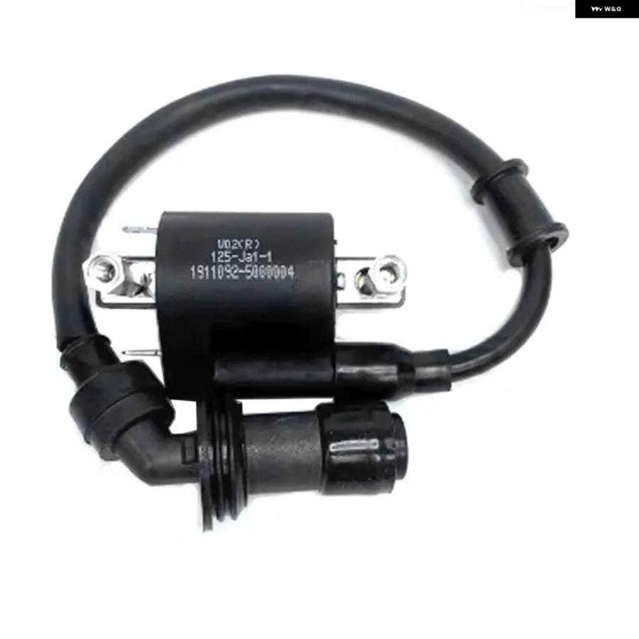 並行輸入品オートバイ イグニッション コイル電圧 BENELLI BJ125-3E BJ125-3 125CC TNT 125 135 QJIANG 左右コンビネーションスパークキャップの画像