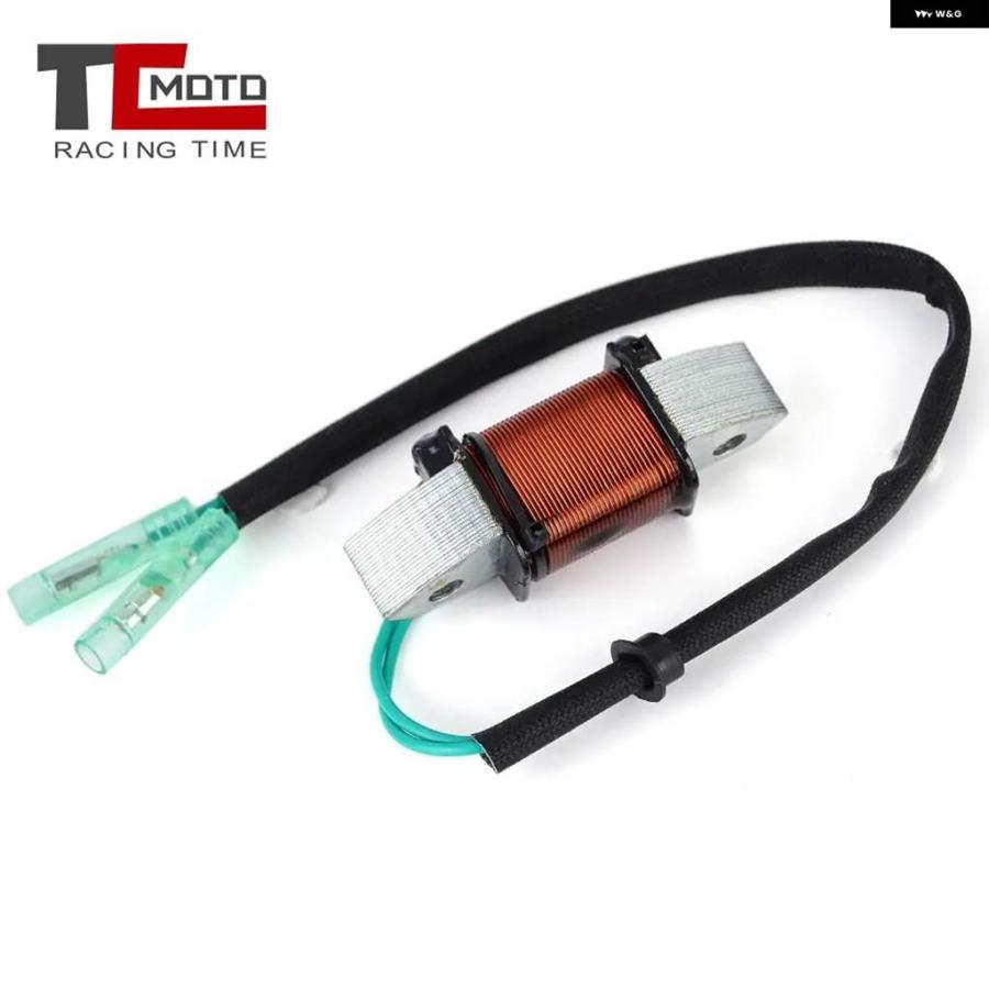 並行輸入品ジェネレーターライトコイル ヤマハ 船外機 40HP 50HP 1989 - 1994 2T マグネト アセンブリ 6Hの画像