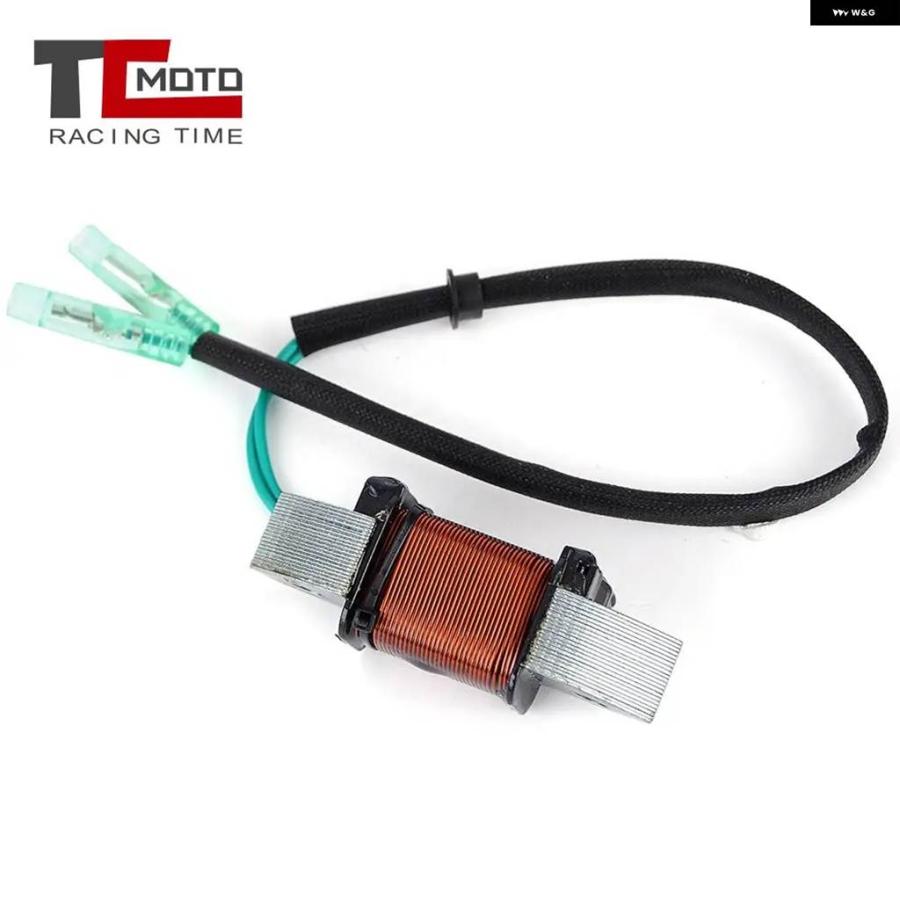 並行輸入品ジェネレーターライトコイル ヤマハ 船外機 40HP 50HP 1989 - 1994 2T マグネト アセンブリ 6Hの画像