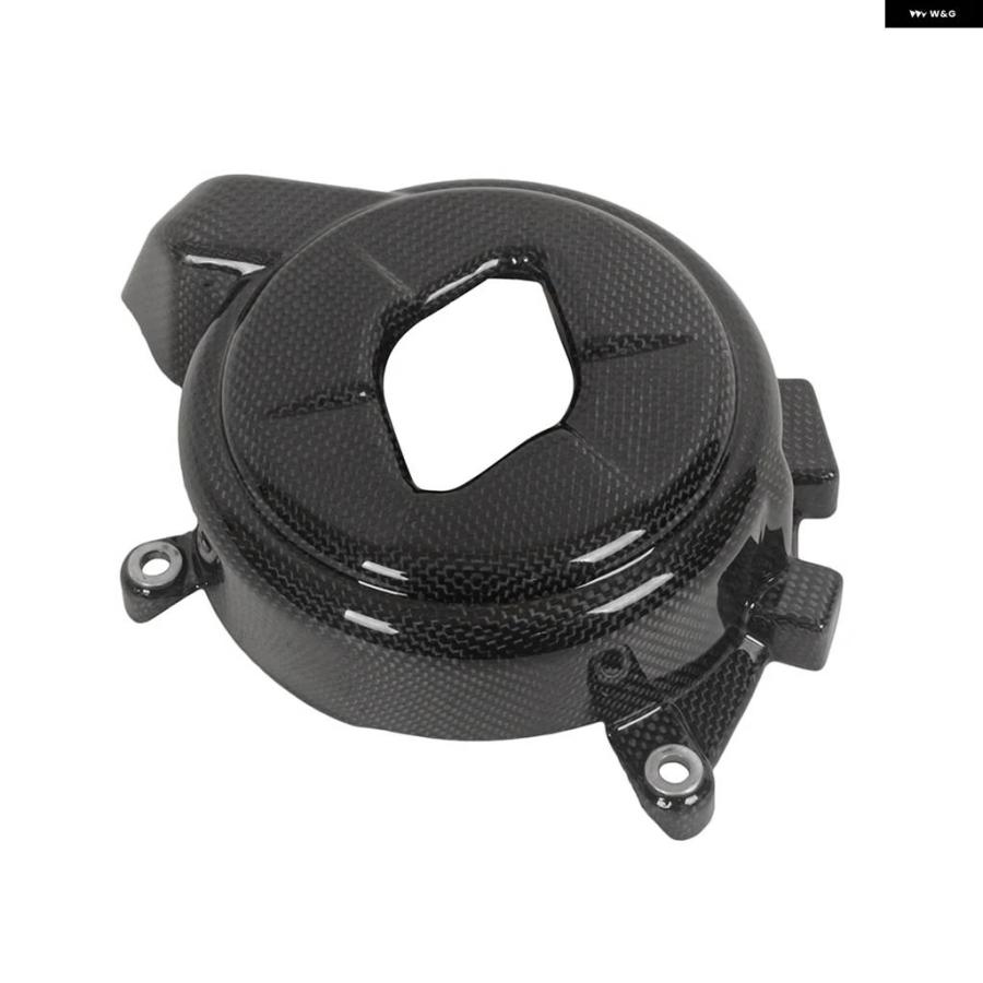 並行輸入品ドゥカティ パニガーレ V4 2018 - 21 100%カーボン マット/グロス リアルプレーンカーボン エンジン カ_4