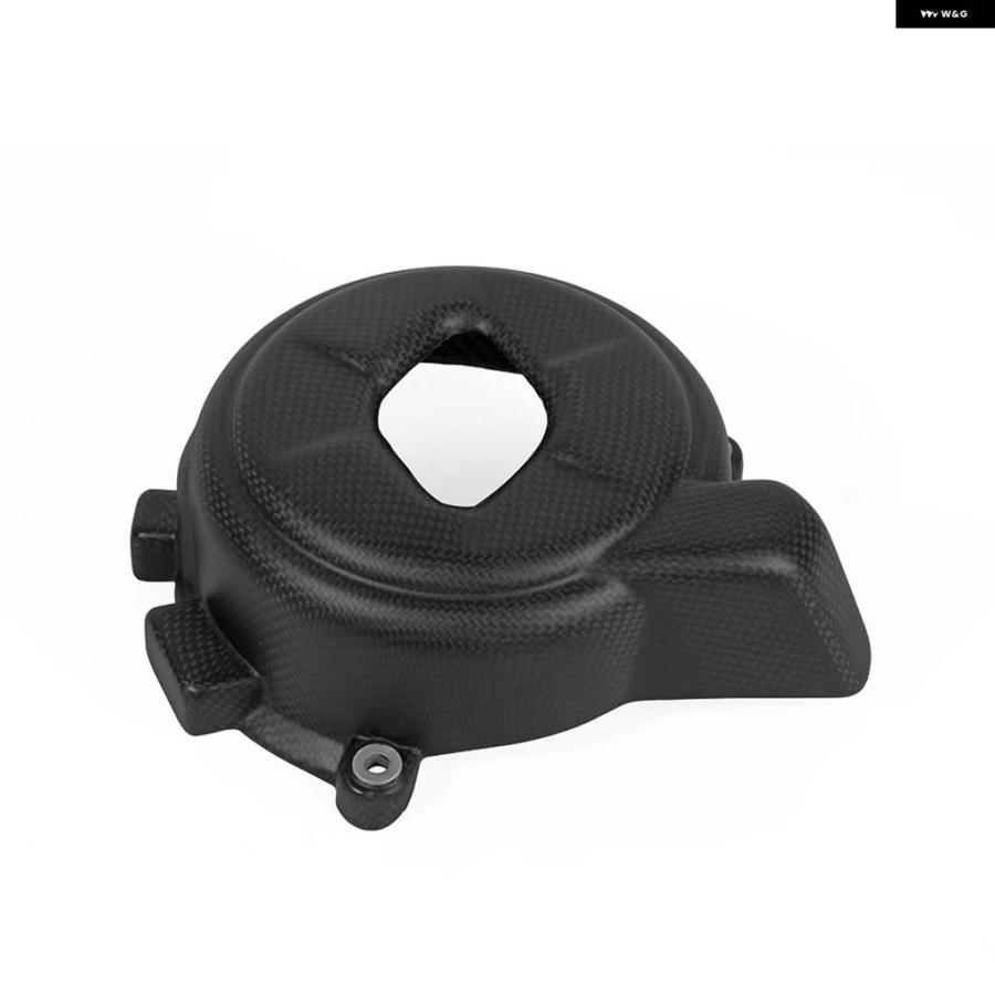 並行輸入品ドゥカティ パニガーレ V4 2018 - 21 100%カーボン マット/グロス リアルプレーンカーボン エンジン カ_6
