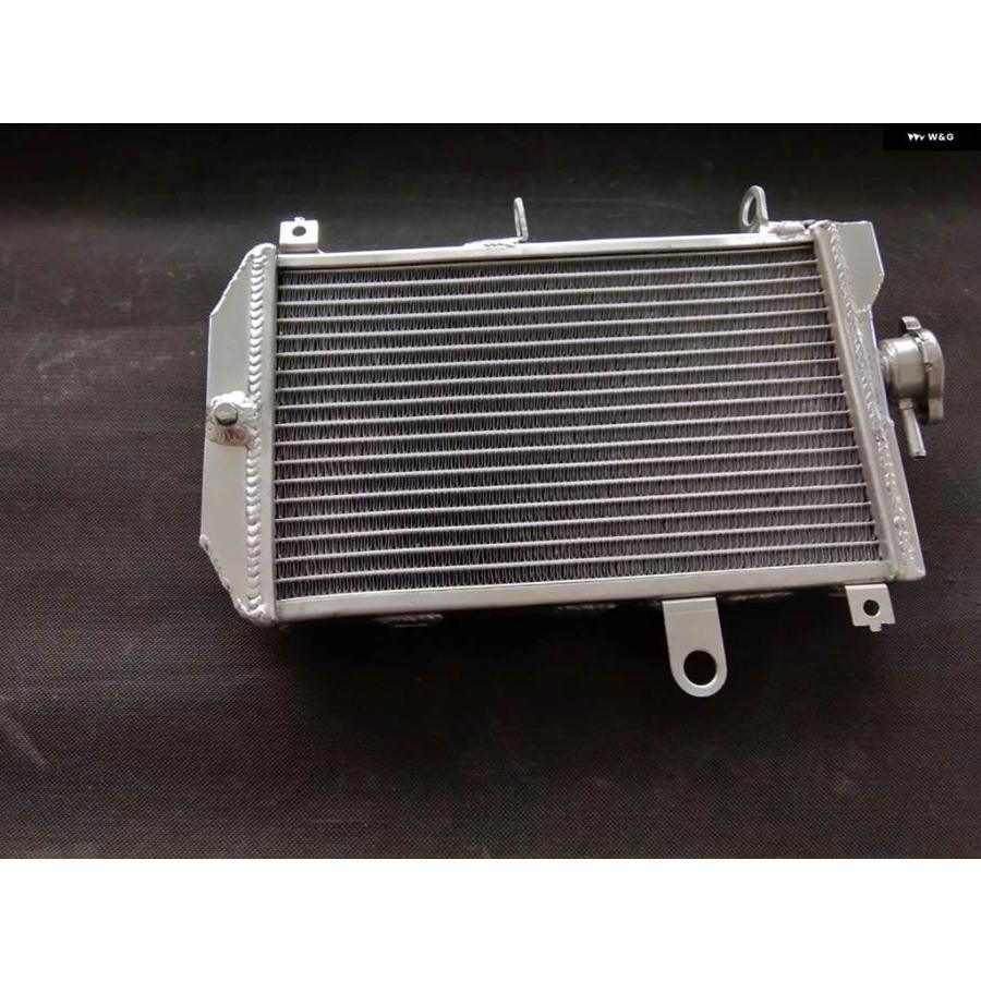 ブランド登録なし - 並行輸入品 軽銀 放熱器 2013-2017 スズキ バーグマン 650 AN650 AN650Z 2014 2015 2016
