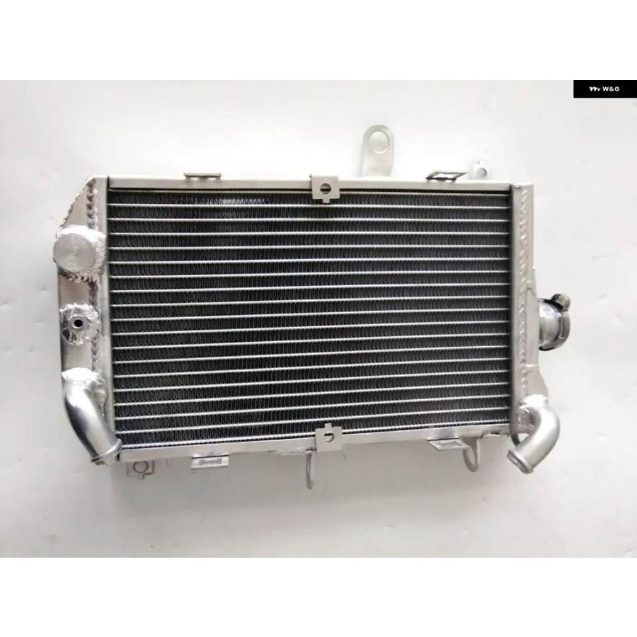 ブランド登録なし - 並行輸入品 軽銀 放熱器 2013-2017 スズキ バーグマン 650 AN650 AN650Z 2014 2015 2016