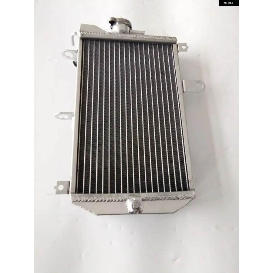 ブランド登録なし - 並行輸入品 軽銀 放熱器 2013-2017 スズキ バーグマン 650 AN650 AN650Z 2014 2015 2016