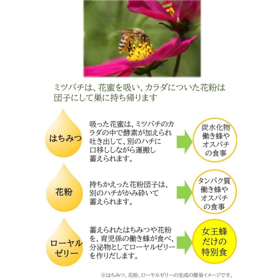 ローヤルゼリー1000　 |  | 03