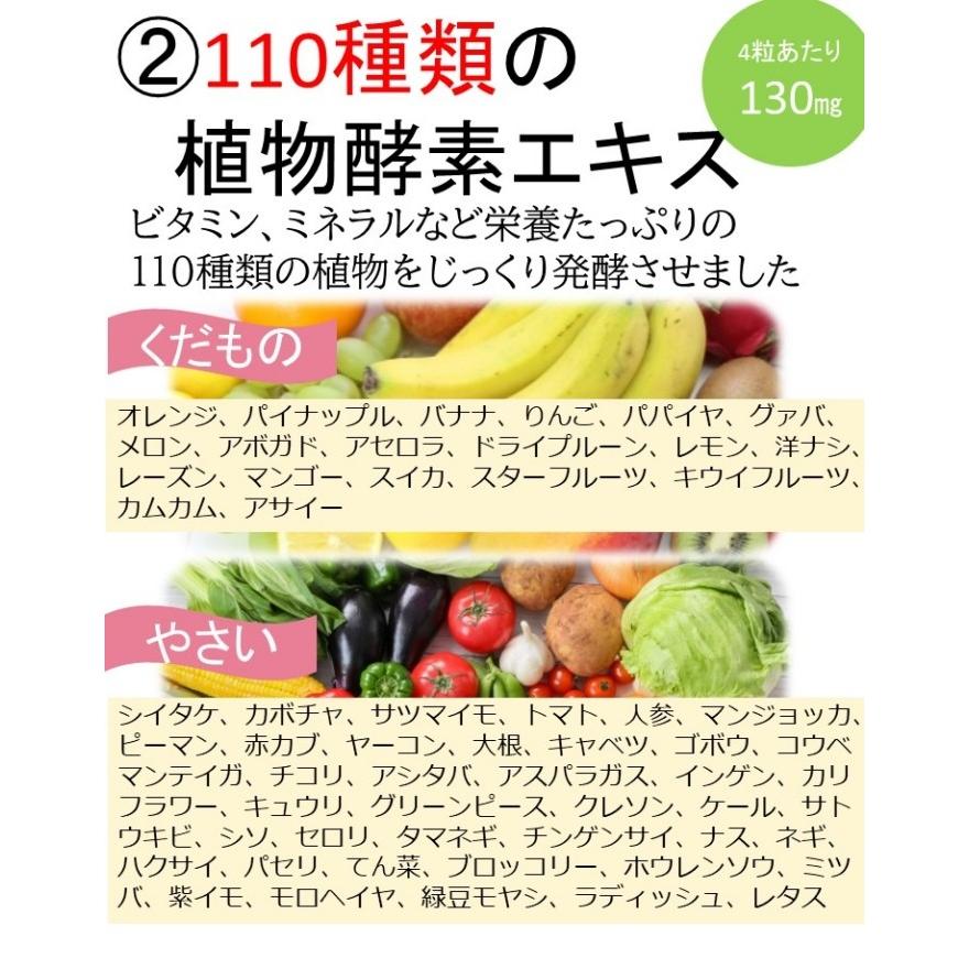 穀物麹 酵素 酵母 乳酸菌 Sap1008 Calseedshop 通販 Yahoo ショッピング