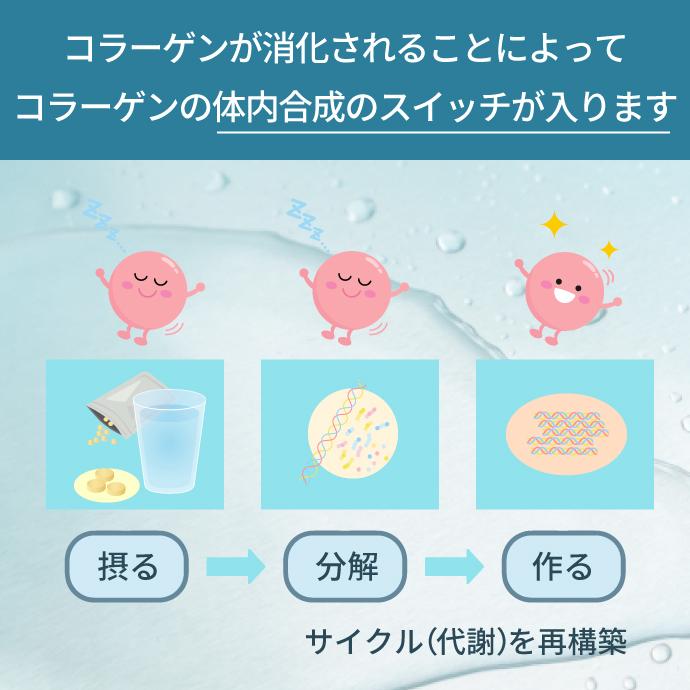 アイサジェニックス　コラーゲンiX 6箱セット 世界で爆発的な大ヒット！？ コラーゲンiX 国内販売秋頃予定