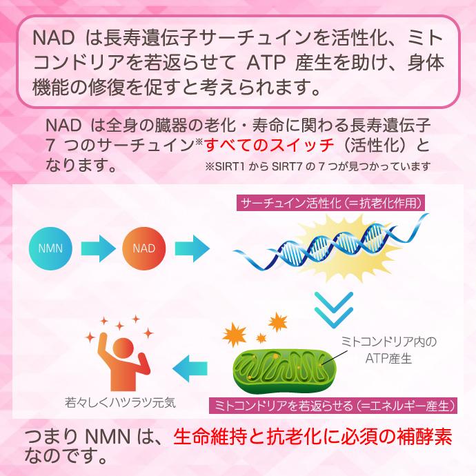 天尊の輝 -NMN7500- 6個セット 酵母発酵法β-NMN 250mg30カプセル お 