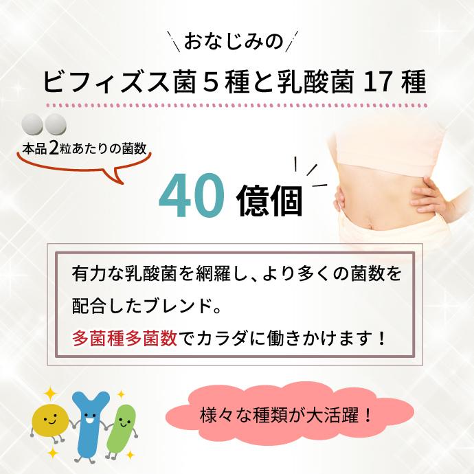 乳酸菌様 乳酸菌B240タブレット 2袋 【定期お届け便】※メール便 | 【大塚