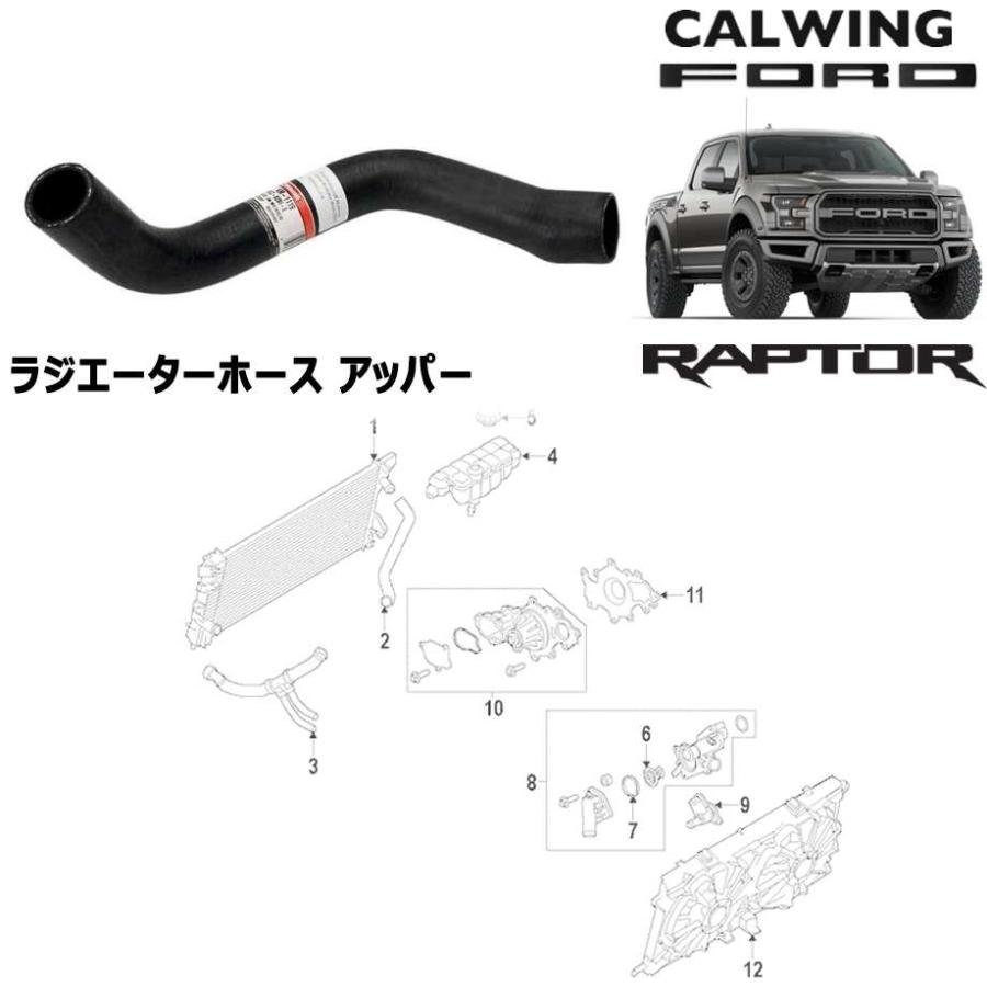 17y F150 ラプター ラジエーターホース アッパー モータークラフト純正 116875キャルウイングパーツセンターヤフー店
