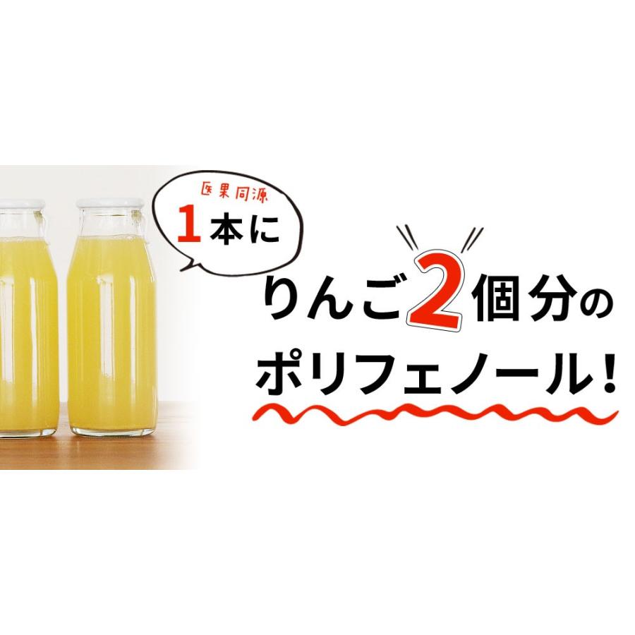 りんごジュース ストレート 果汁 未熟果実 【医果同源ギフト12本セット