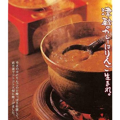 りんごカレールー 1袋 青森名物 岩木屋のリンゴカレー Sp 014sp かめあし商店オンラインショップ 通販 Yahoo ショッピング