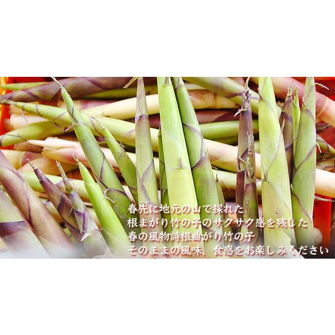 岩木屋　津軽　押し寿司【竹の子押し鮨500g】 送料無料 岩木屋の名物飯寿司！ [※SP]｜cameashi｜05