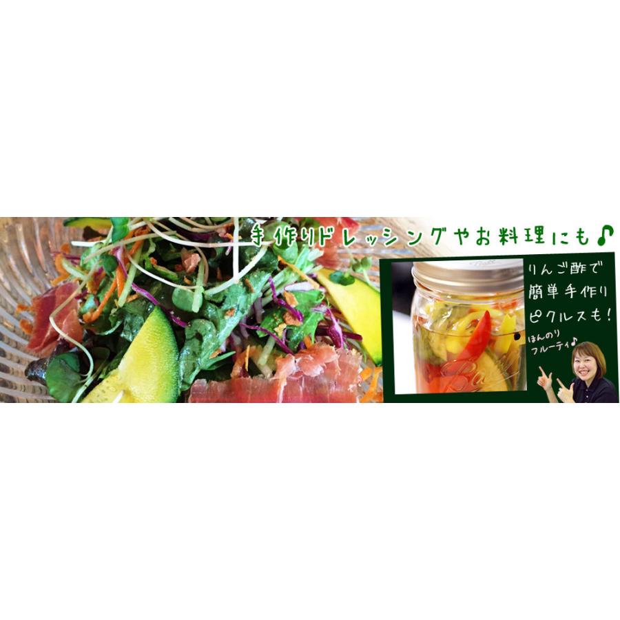 青森 飲む りんご 酢 【ハチミツ入り りんご酢 1本】水で薄めて