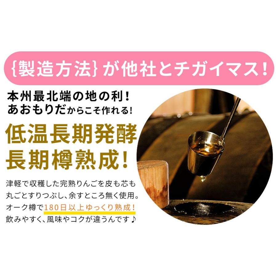 青森 飲む りんご 酢 【ハチミツ入り りんご酢 スティック 100本】送料無料 携帯 スティックタイプ カネショウ リンゴ酢 [※当店他商品との同梱可][※常温便]｜cameashi｜07