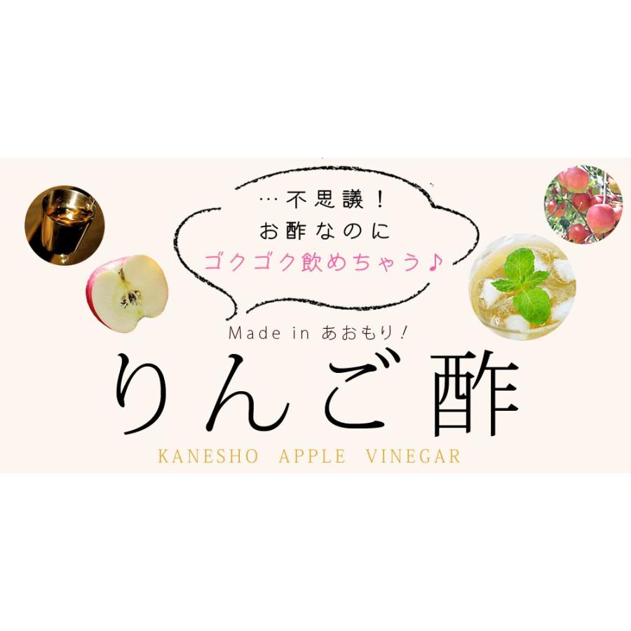 青森 飲む りんご 酢 【ハチミツ入り りんご酢 スティック10本（箱入