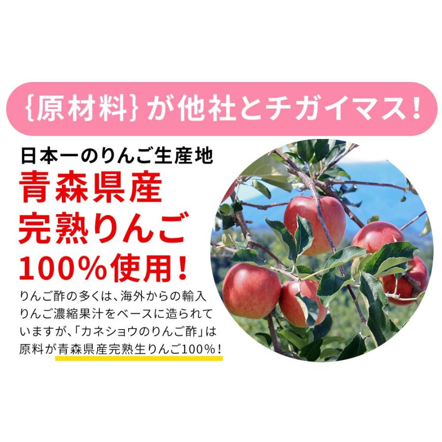青森 飲む りんご 酢 【ハチミツ入り りんご酢 スティック10本（箱入