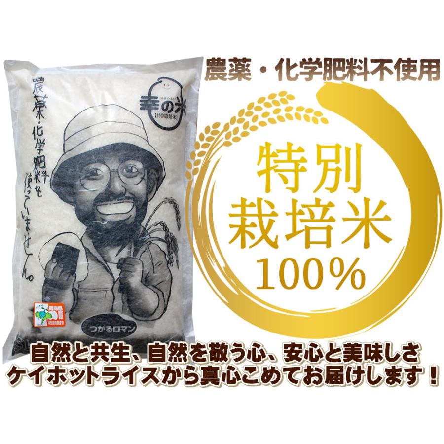 令和5年　農家保有米　 無農薬栽培　 青森県産　つがるロマン玄米30キロ 2024年度産 農薬・化学肥料不使用 幸の米農園 荒関さんの 【青森