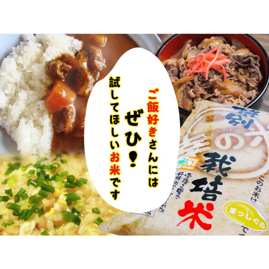 青森県産 特別栽培米 まっしぐら5kg】2025年度産 農薬・化学肥料を5割