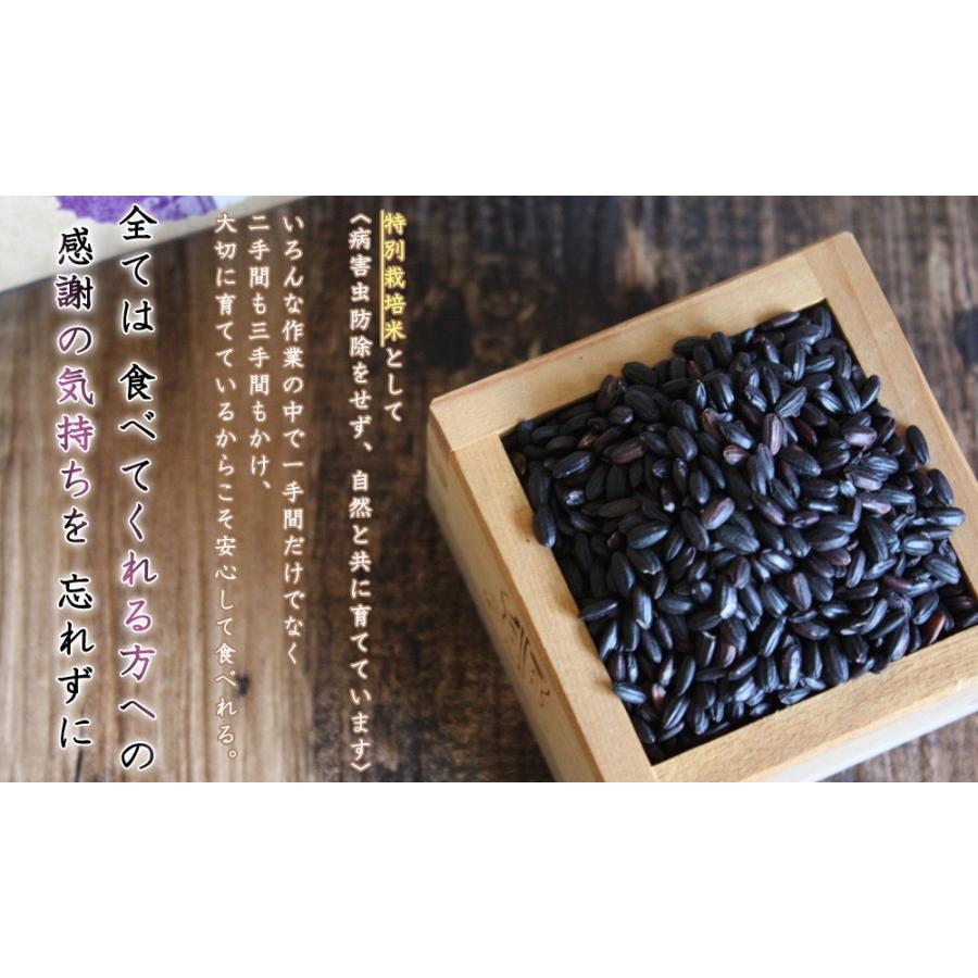 栄養満点!混ぜる 玄米 送料無料 毎日の白米に混ぜて炊くだけ 栄養満点!混ぜる 玄米 送料無料 毎日の白米に混ぜて炊くだけ