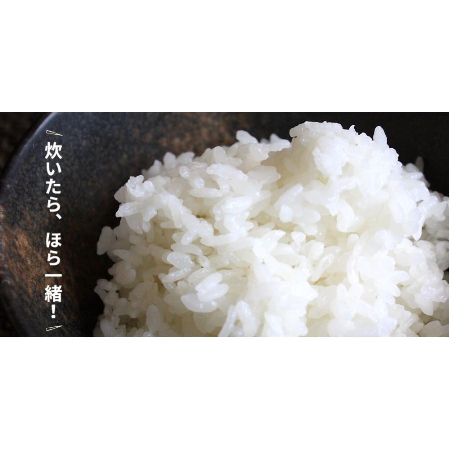 特別栽培米 あさゆき を5割以上配合【青森ブレンド米10kg】 送料無料