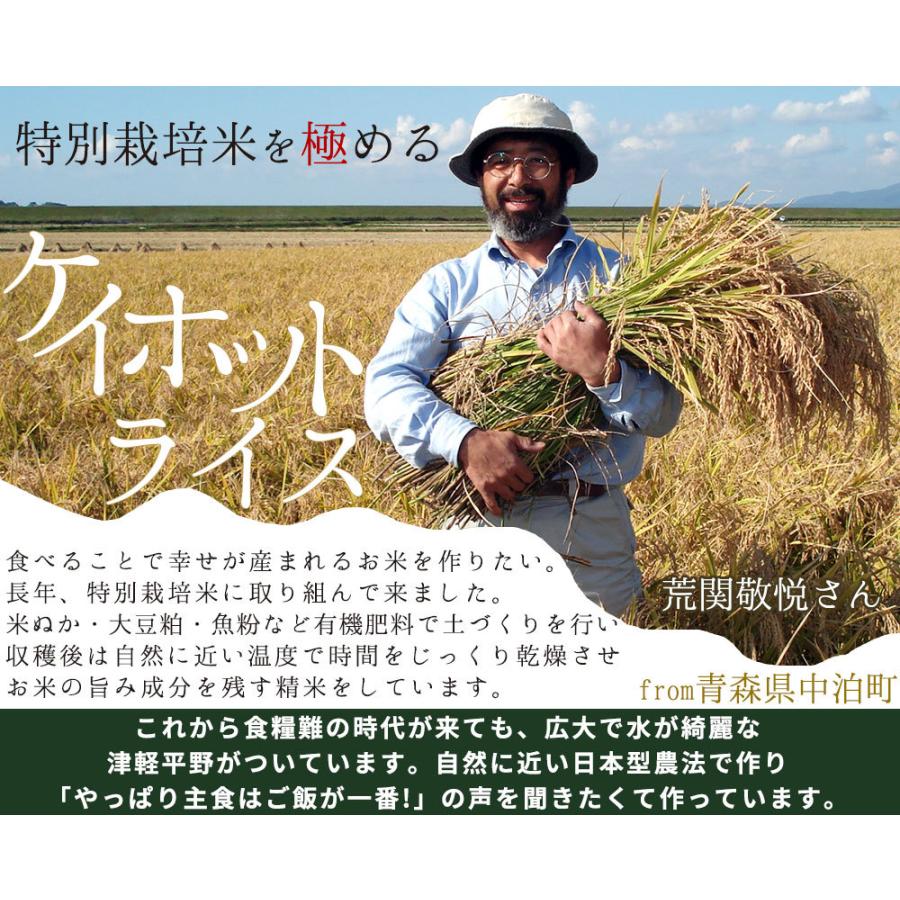 特別栽培米 あさゆき を5割以上配合【青森ブレンド米10kg】 送料無料