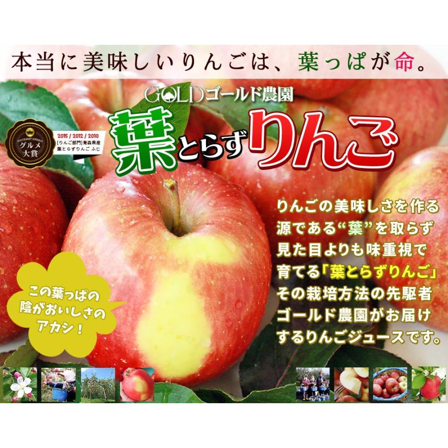 青森 りんご ジュース 100％ ストレート 果汁 【林檎園6本】リンゴ 