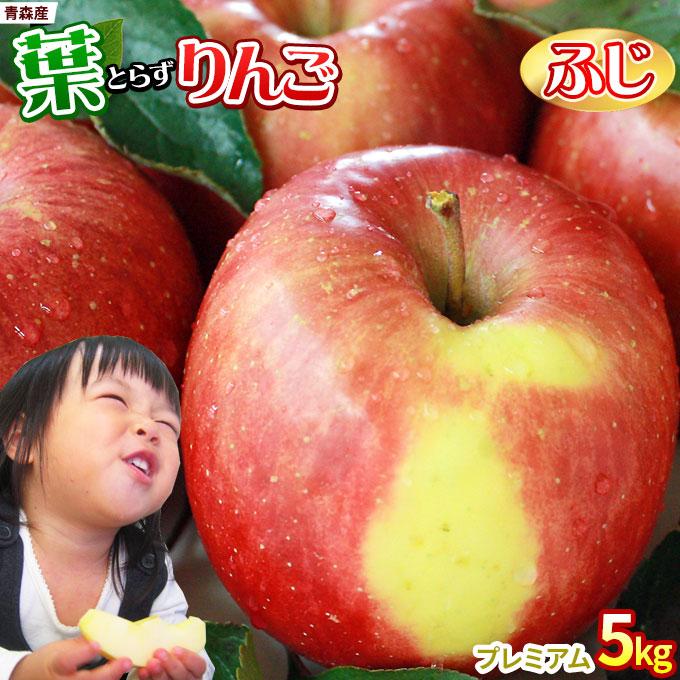 ゴールド農園 葉っぱの影は甘さのサイン【葉とらずりんご ふじ5kg