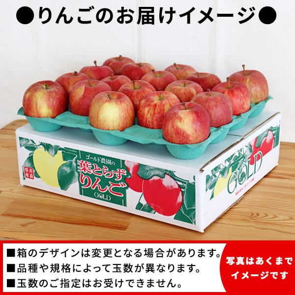ゴールド農園 葉っぱの影は甘さのサイン【葉とらずりんご ふじ5kg