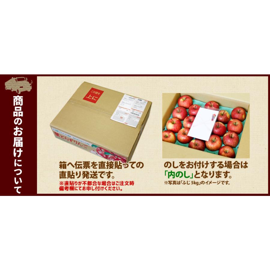 葉っぱの影は甘さのサイン 【葉とらずりんご つがる2.7ｋｇ　プレミアム】贈答用(8-10玉) 送料無料 [※産地直送のため同梱不可]｜cameashi｜19