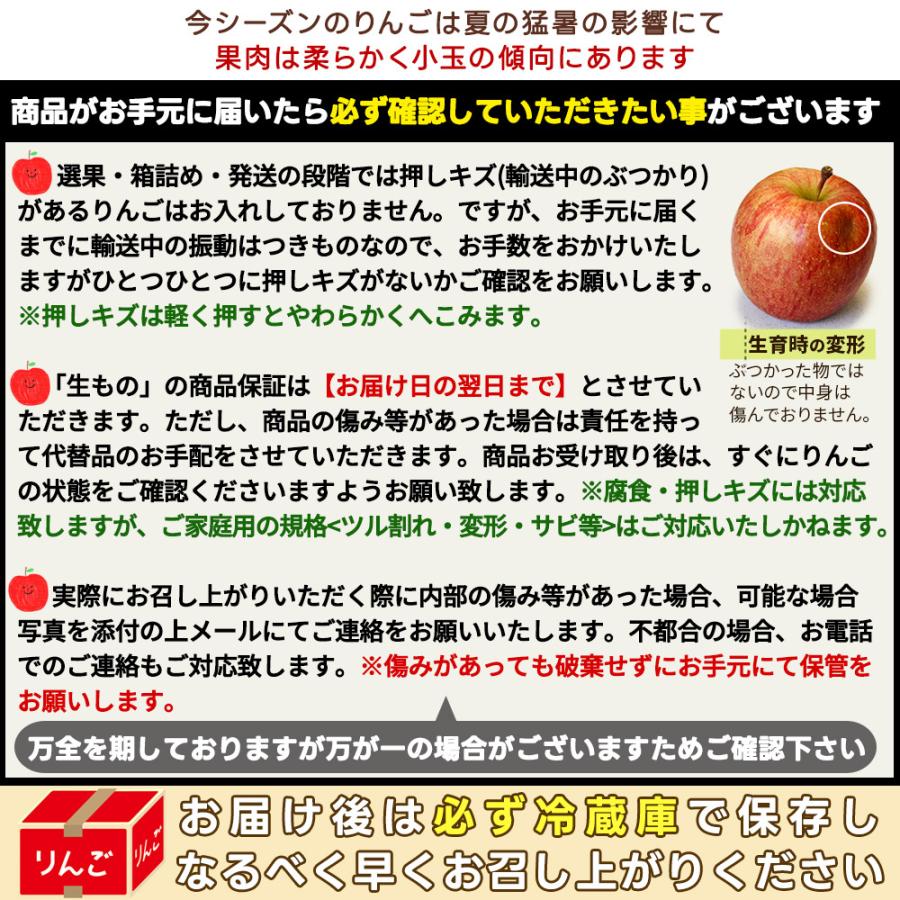 ゴールド農園 葉っぱの影は甘さのサイン【葉とらずりんご 王林10kg